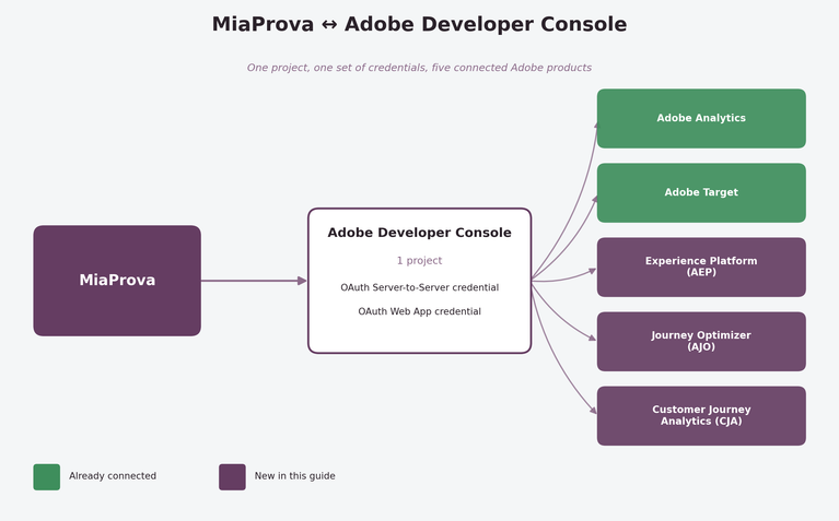 Five Steps to Unlock AJO, AEP, and CJA in Your MiaProva Integration